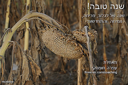 Shana Tova from Ofra Homsky